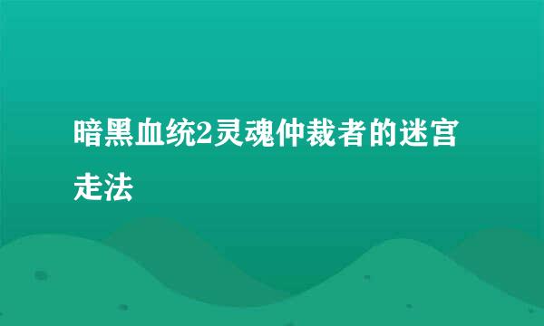 暗黑血统2灵魂仲裁者的迷宫走法