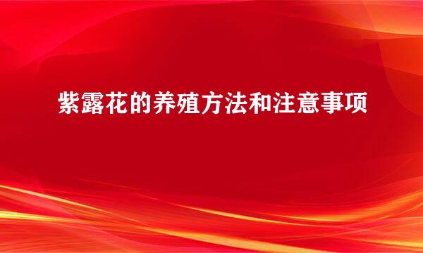 紫露花的养殖方法和注意事项
