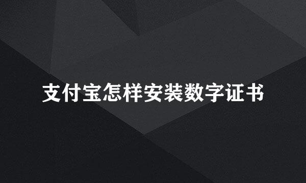 支付宝怎样安装数字证书