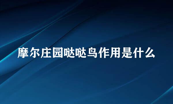摩尔庄园哒哒鸟作用是什么