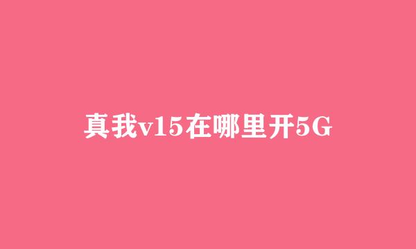 真我v15在哪里开5G