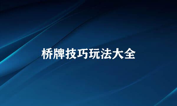 桥牌技巧玩法大全