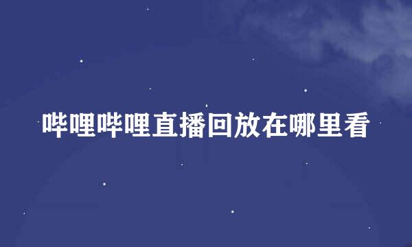 哔哩哔哩直播回放在哪里看