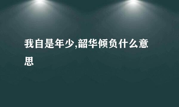 我自是年少,韶华倾负什么意思