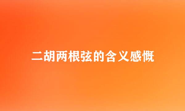 二胡两根弦的含义感慨