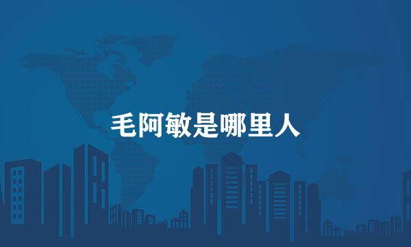 毛阿敏是哪里人