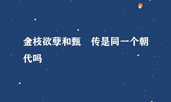 金枝欲孽和甄嬛传是同一个朝代吗