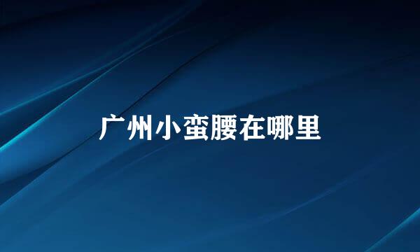 广州小蛮腰在哪里