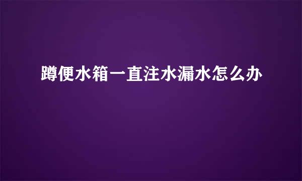 蹲便水箱一直注水漏水怎么办