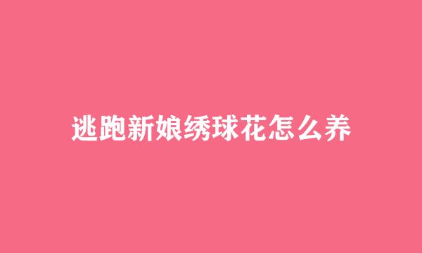 逃跑新娘绣球花怎么养