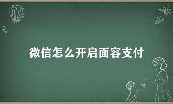 微信怎么开启面容支付