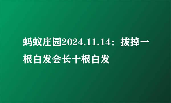 蚂蚁庄园2024.11.14：拔掉一根白发会长十根白发