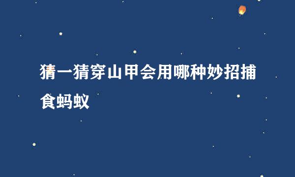 猜一猜穿山甲会用哪种妙招捕食蚂蚁