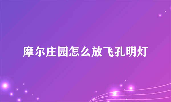 摩尔庄园怎么放飞孔明灯