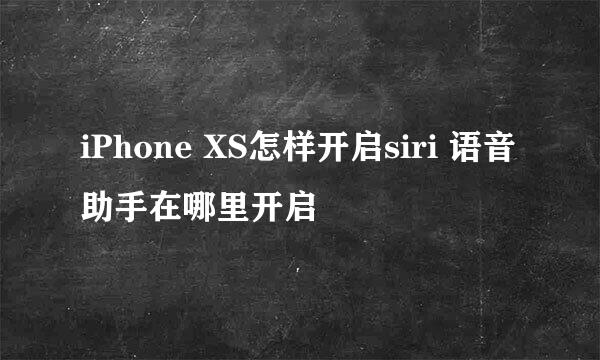 iPhone XS怎样开启siri 语音助手在哪里开启