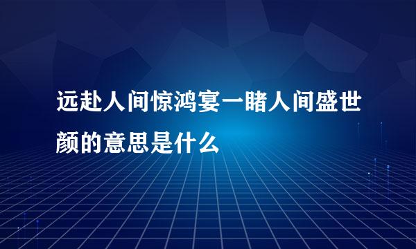 远赴人间惊鸿宴一睹人间盛世颜的意思是什么
