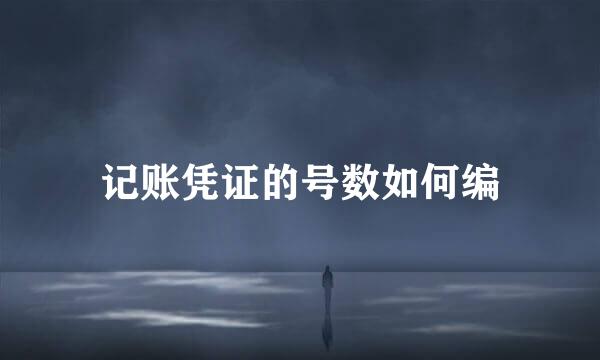 记账凭证的号数如何编