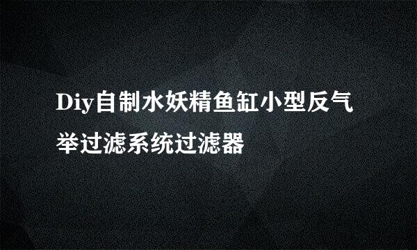 Diy自制水妖精鱼缸小型反气举过滤系统过滤器
