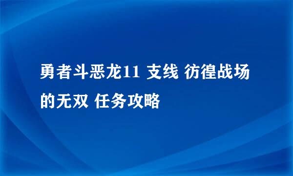 勇者斗恶龙11 支线 彷徨战场的无双 任务攻略
