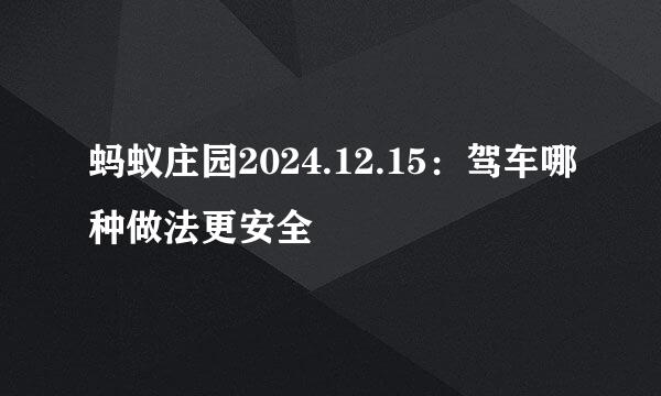 蚂蚁庄园2024.12.15：驾车哪种做法更安全