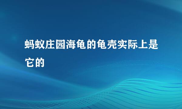 蚂蚁庄园海龟的龟壳实际上是它的