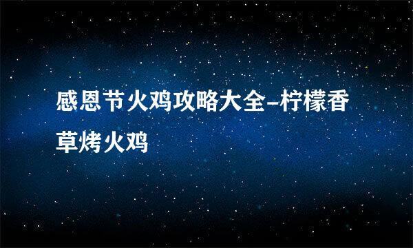 感恩节火鸡攻略大全-柠檬香草烤火鸡