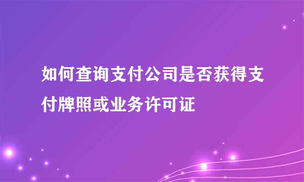 如何查询支付公司是否获得支付牌照或业务许可证