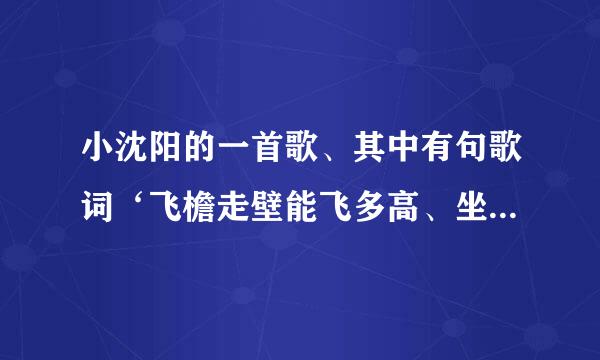 小沈阳的一首歌、其中有句歌词‘飞檐走壁能飞多高、坐船练习水上漂’请问谁知道这首歌叫什么名字