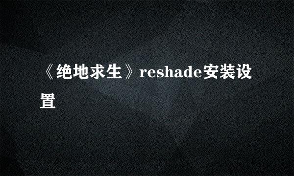《绝地求生》reshade安装设置