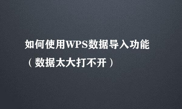如何使用WPS数据导入功能（数据太大打不开）