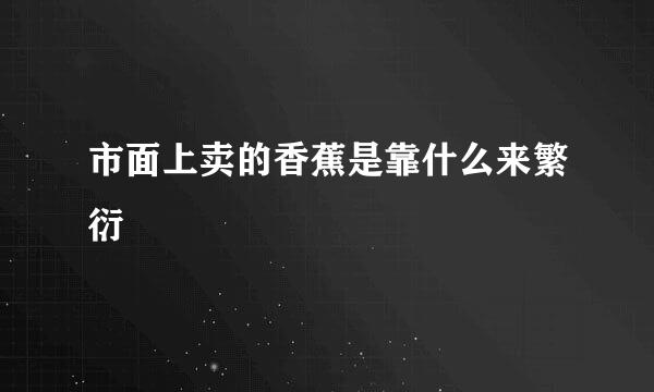 市面上卖的香蕉是靠什么来繁衍