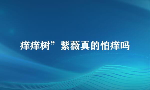 痒痒树”紫薇真的怕痒吗