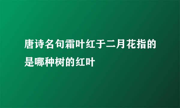 唐诗名句霜叶红于二月花指的是哪种树的红叶