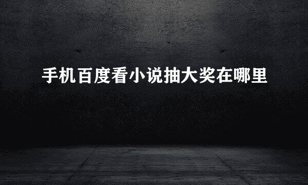 手机百度看小说抽大奖在哪里
