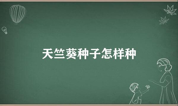 天竺葵种子怎样种