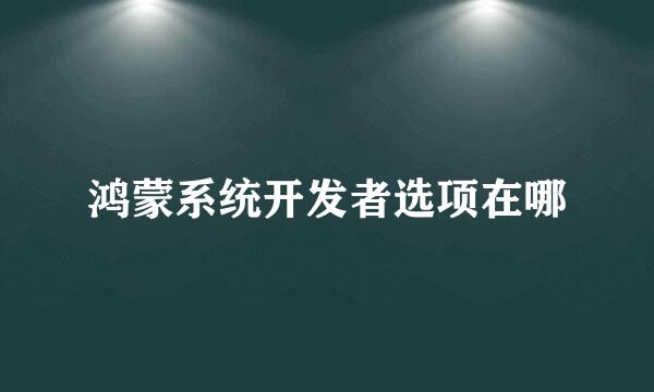 鸿蒙系统开发者选项在哪