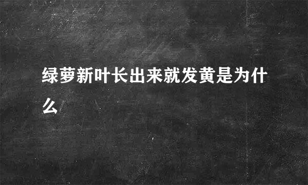 绿萝新叶长出来就发黄是为什么