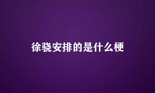徐骁安排的是什么梗