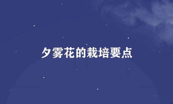 夕雾花的栽培要点