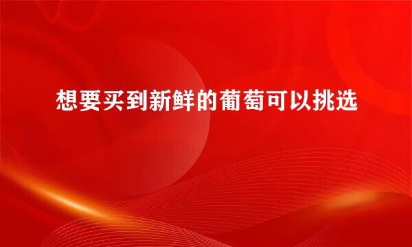 想要买到新鲜的葡萄可以挑选
