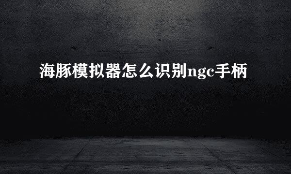 海豚模拟器怎么识别ngc手柄