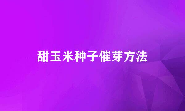 甜玉米种子催芽方法