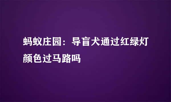 蚂蚁庄园：导盲犬通过红绿灯颜色过马路吗