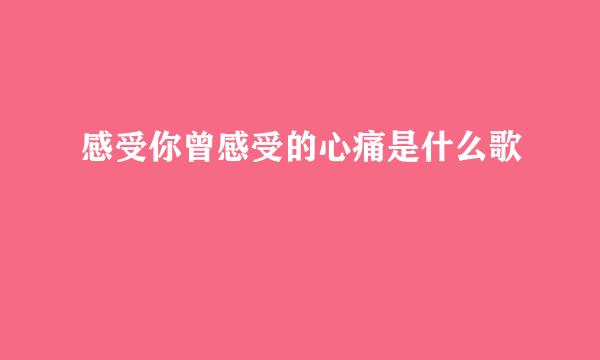 感受你曾感受的心痛是什么歌