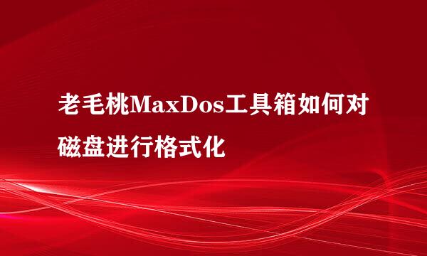 老毛桃MaxDos工具箱如何对磁盘进行格式化