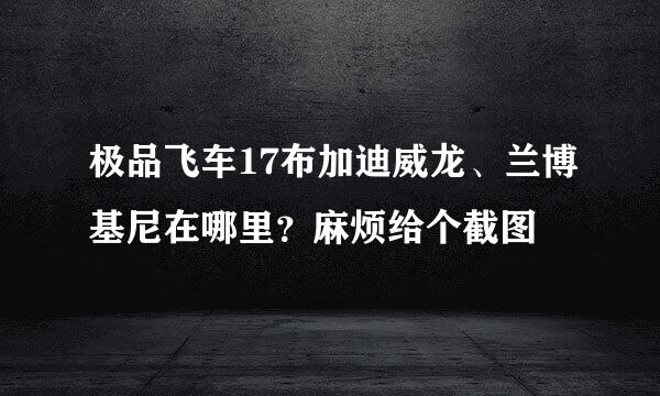 极品飞车17布加迪威龙、兰博基尼在哪里？麻烦给个截图
