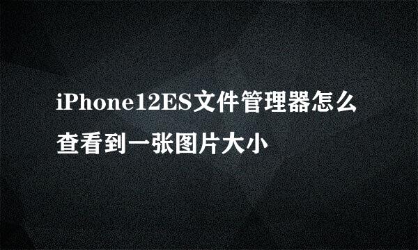 iPhone12ES文件管理器怎么查看到一张图片大小