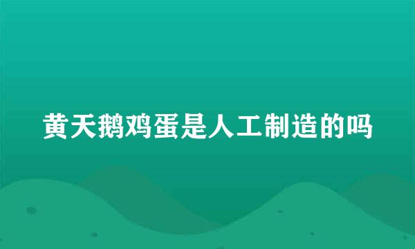 黄天鹅鸡蛋是人工制造的吗