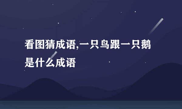 看图猜成语,一只鸟跟一只鹅是什么成语
