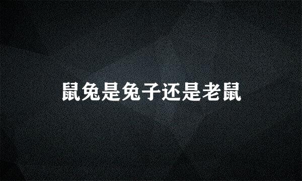 鼠兔是兔子还是老鼠